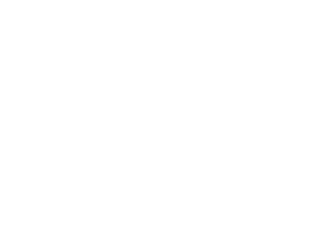 U.S. Air Force logo white